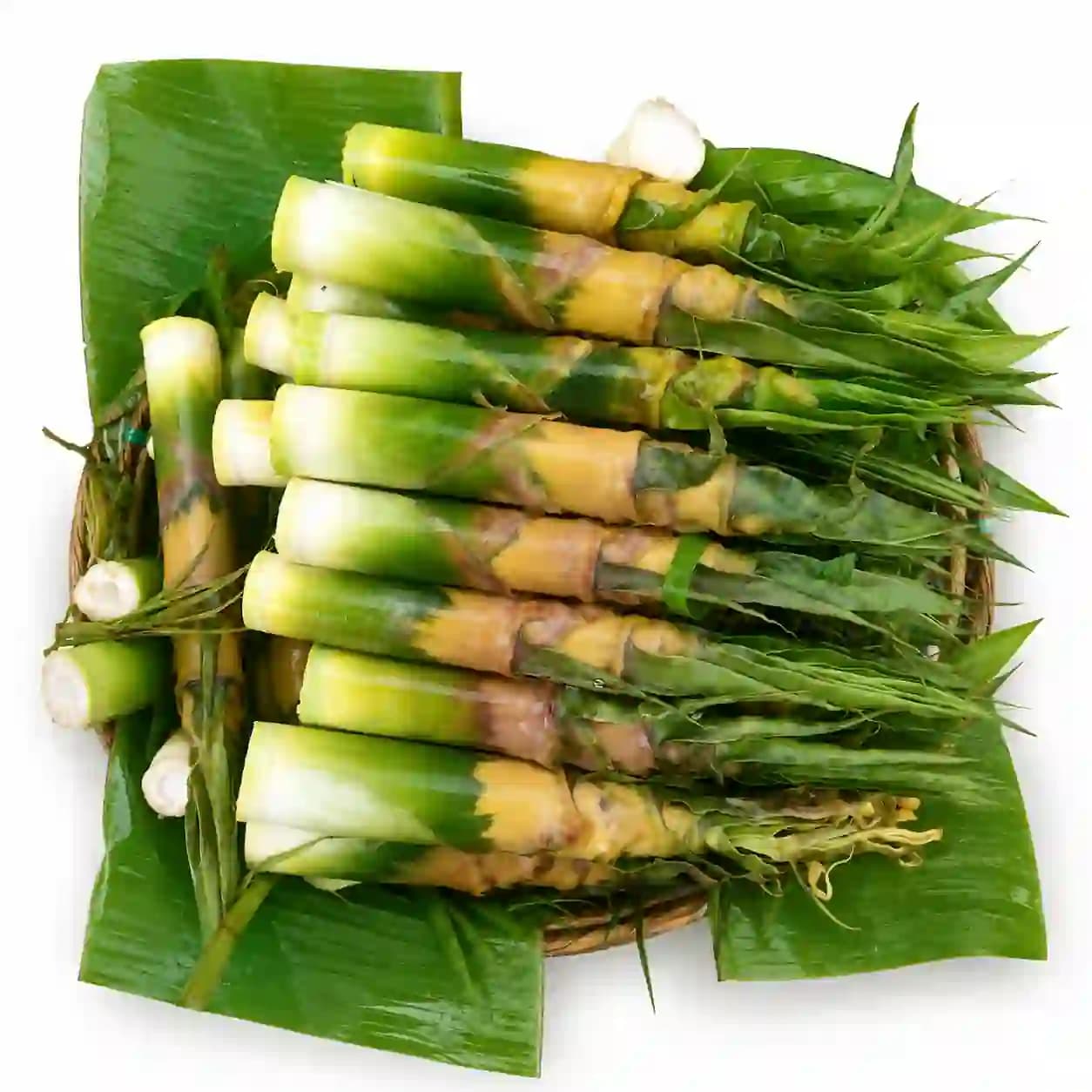 পাহাড়ি বাঁশ কোড়ল