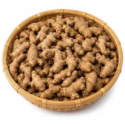 পাহাড়ি আদা । Hilly Ginger